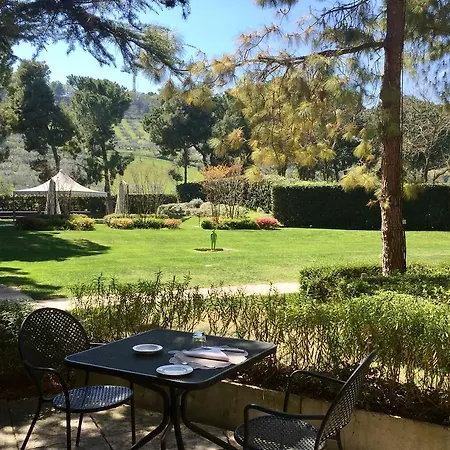 Hotel Maria &